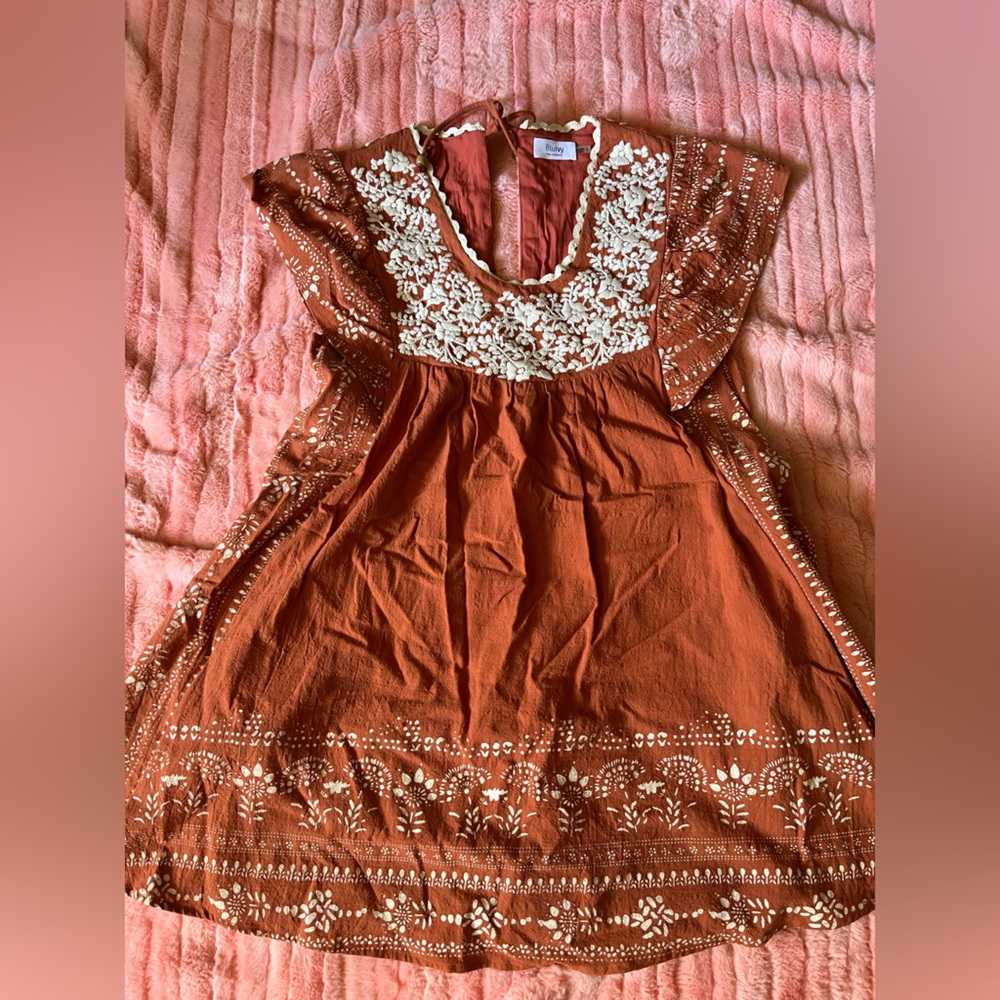 Cute Rust Embroidered Dress